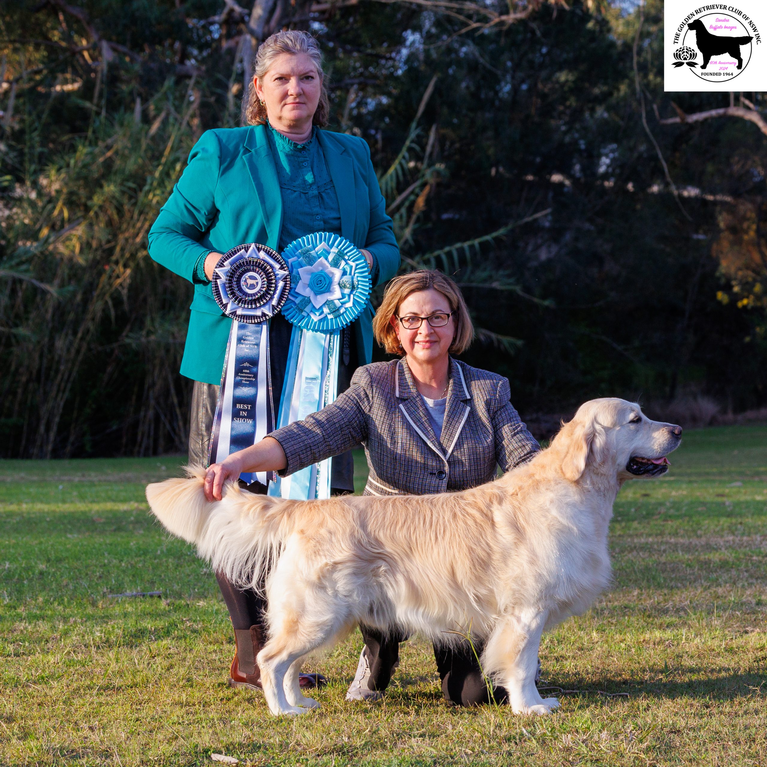 9th June 2024 double Championship show The Golden Retriever Club of