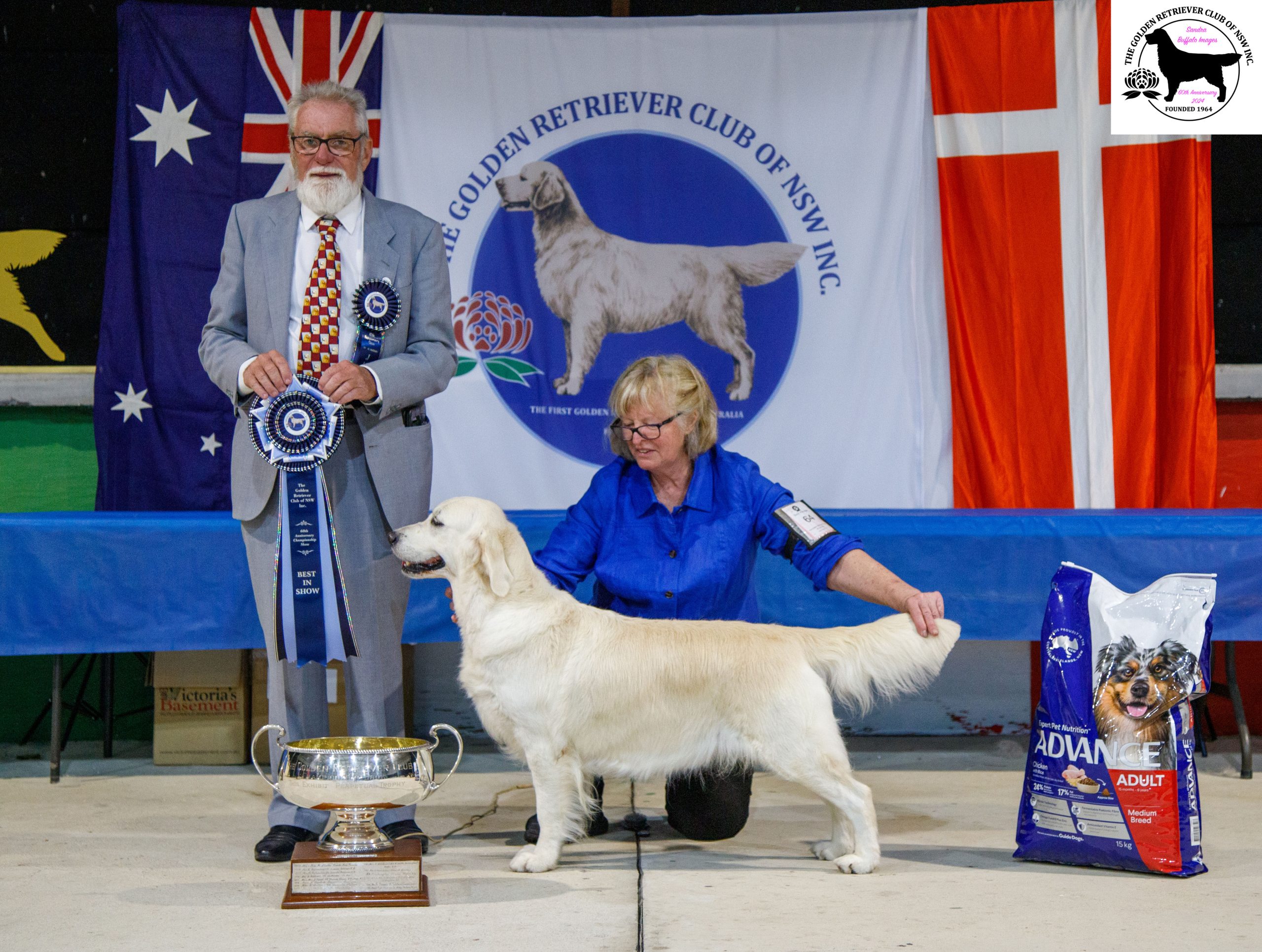 9th June 2024 double Championship show The Golden Retriever Club of